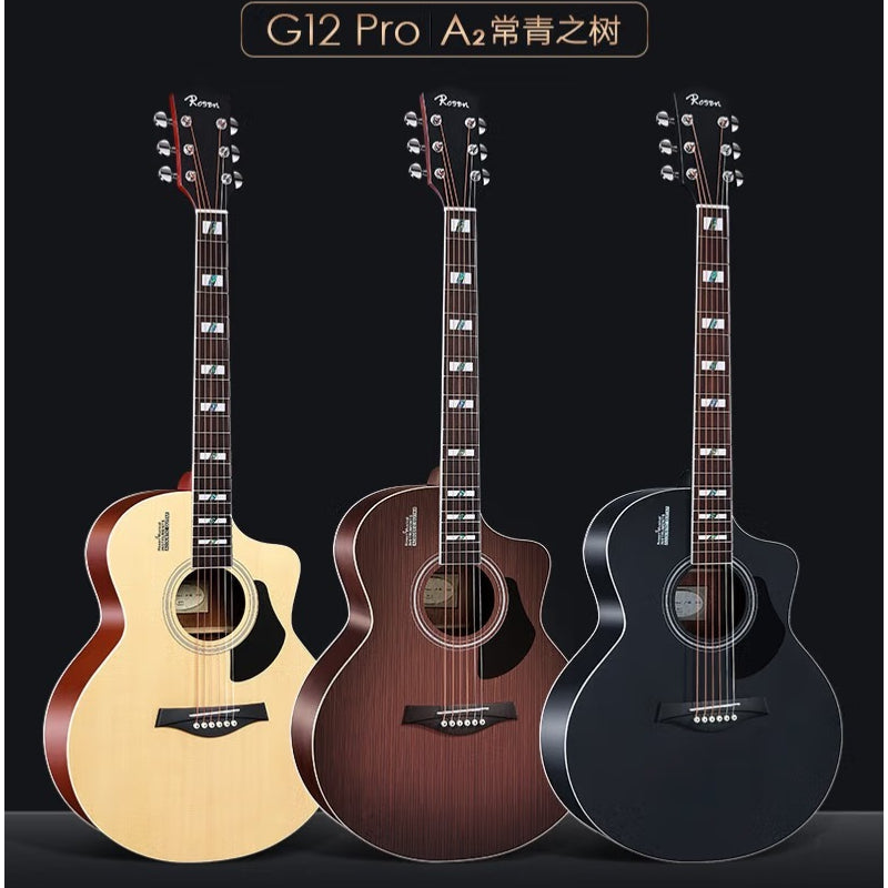 Đàn Guitar Acoustic Rosen G12 Pro (Full phụ kiện) - Việt Music