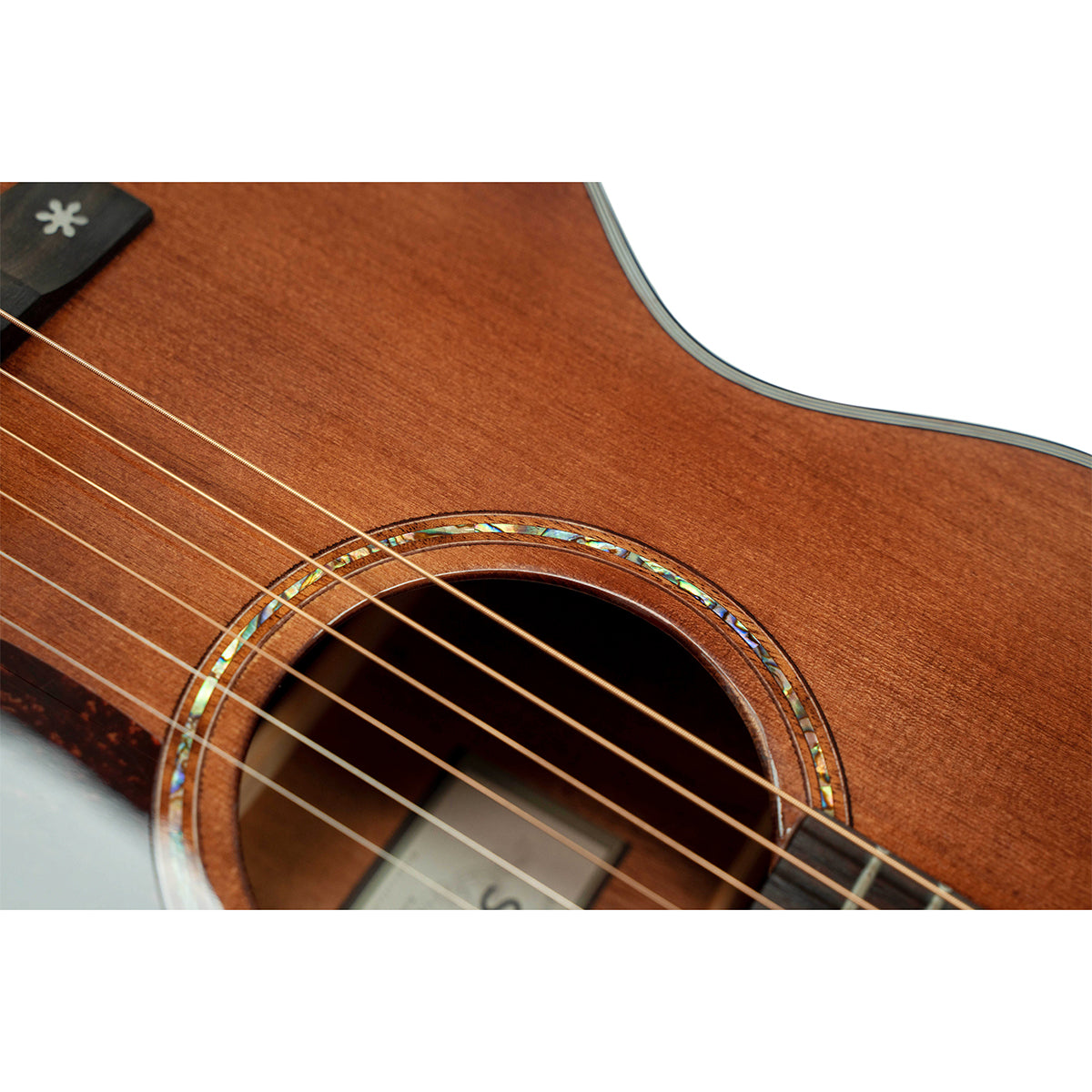 Đàn Guitar Acoustic Saga SA830C - Việt Music