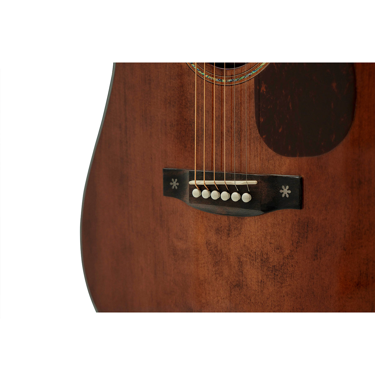 Đàn Guitar Acoustic Saga SF830C - Việt Music