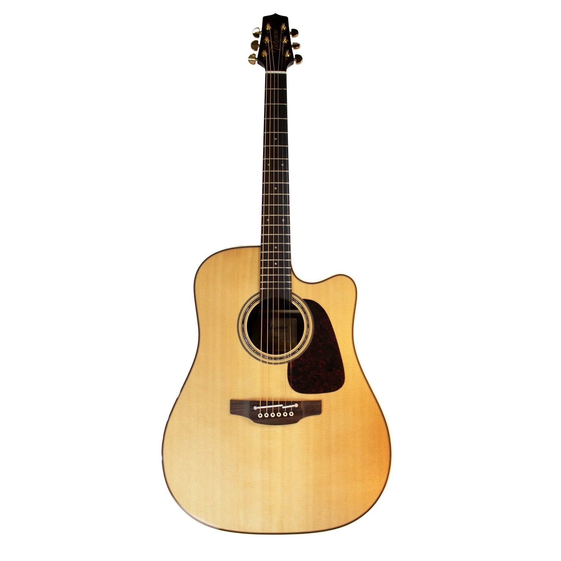 Đàn Guitar Takamine P5DC, Acoustic - Việt Music