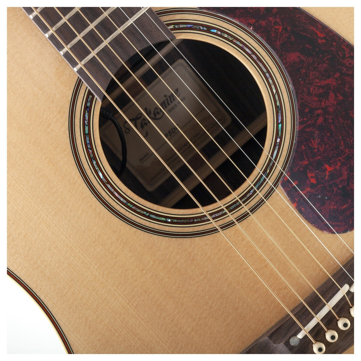 Đàn Guitar Takamine P5DC, Acoustic - Việt Music