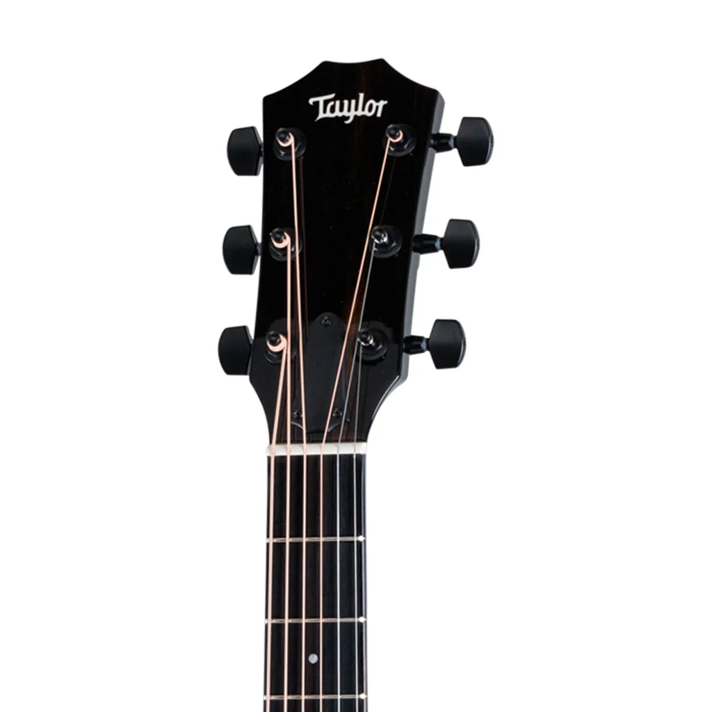 Đàn Guitar Acoustic Taylor 217E-BLK Plus - Grand Pacific, W/Case - Việt Music