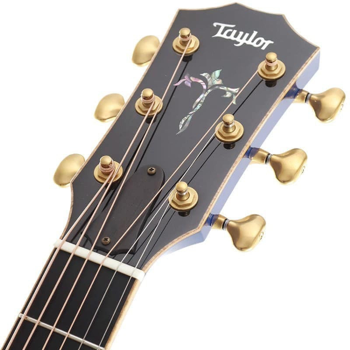 Đàn Guitar Acoustic Taylor Custom Shop Grand Autorium Trans Blue - Việt Music