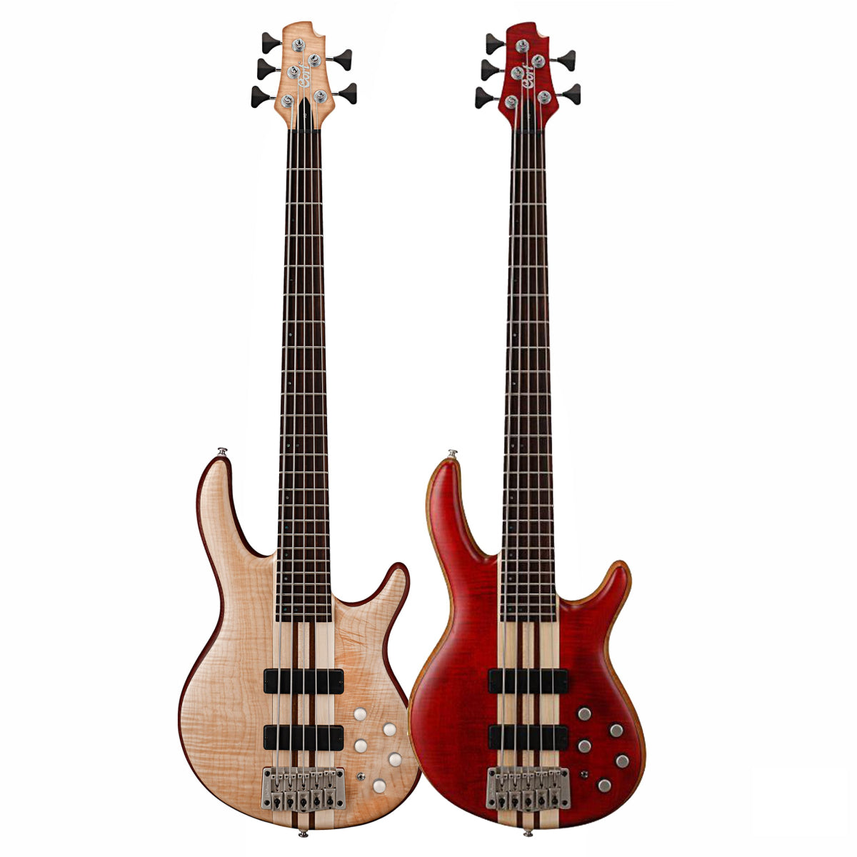 Đàn Guitar Bass Cort A5 Plus FMMH - 5 Strings - Việt Music