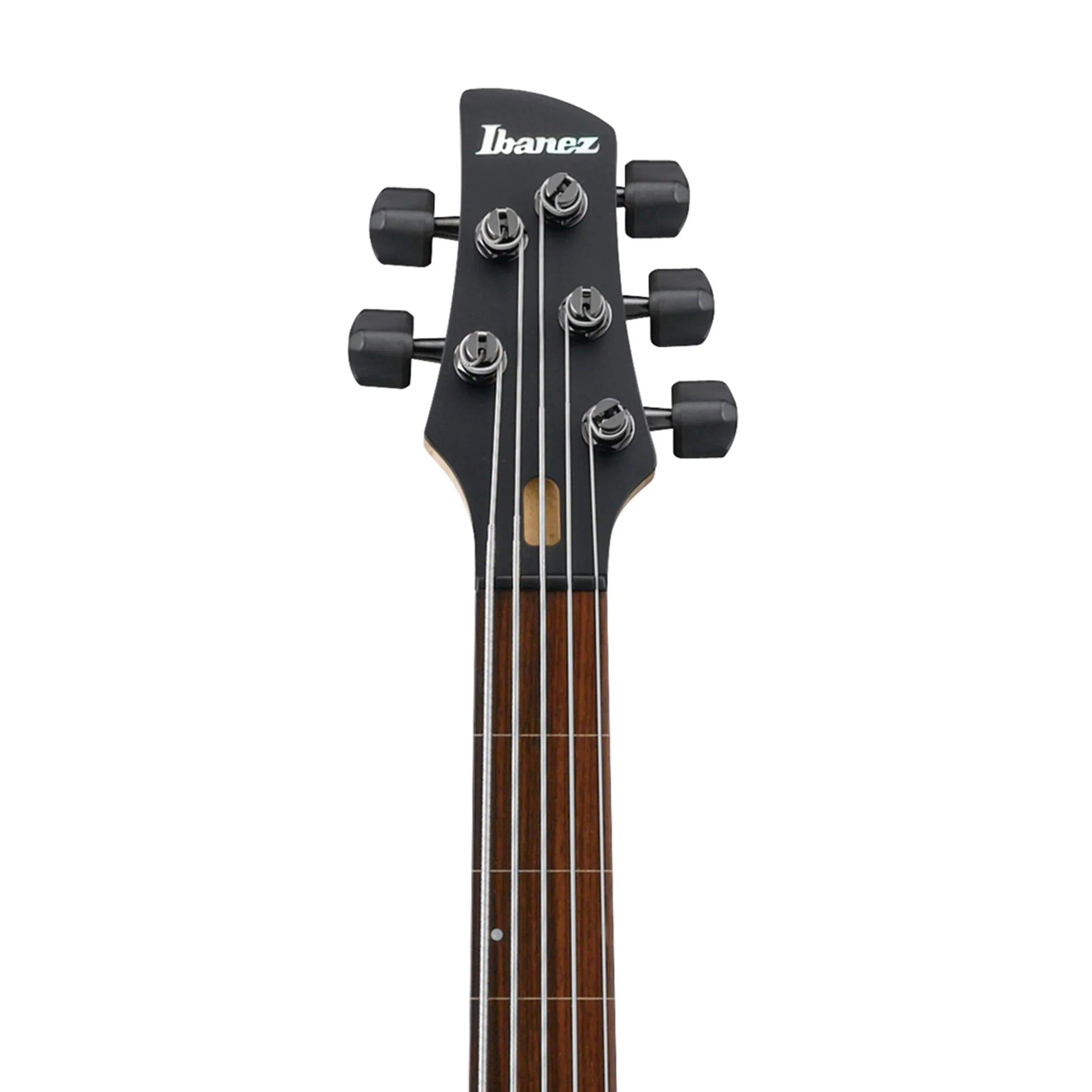 Đàn Guitar Bass GWB1005 - Gary Willis Signature S, Ebony Fingerboard, Natural - 5 Strings - Việt Music