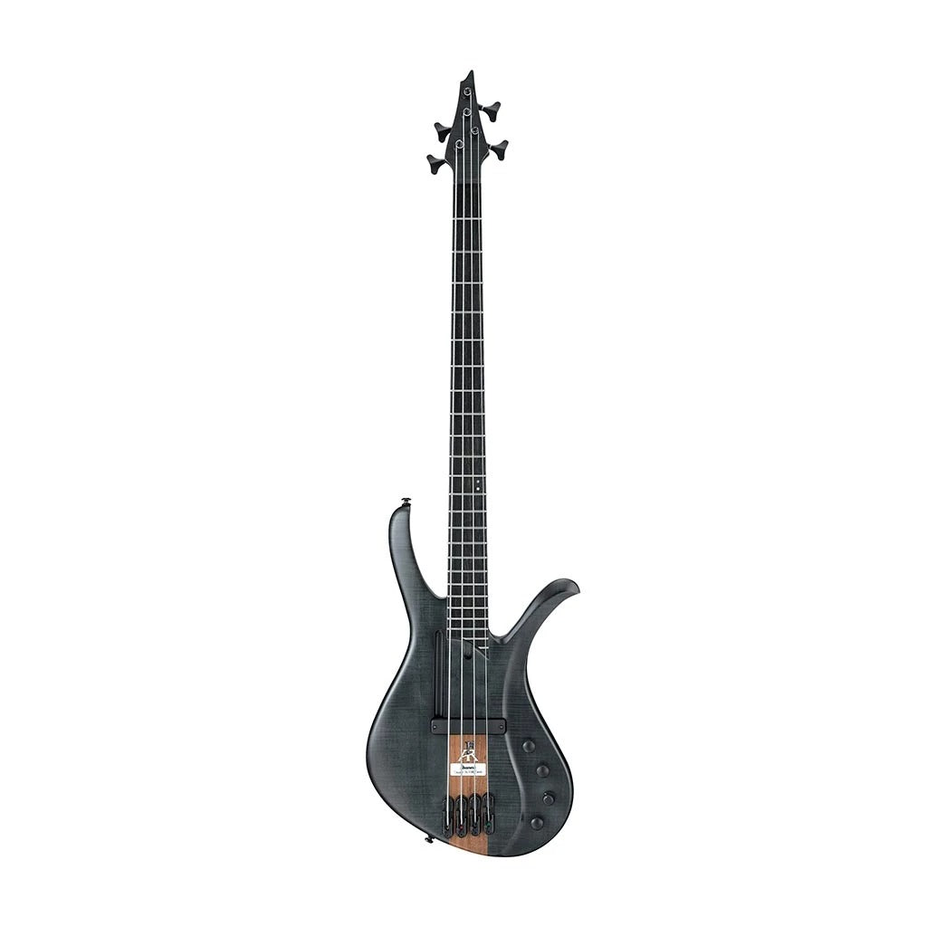 Đàn Guitar Bass Ibanez AFR4 - Việt Music