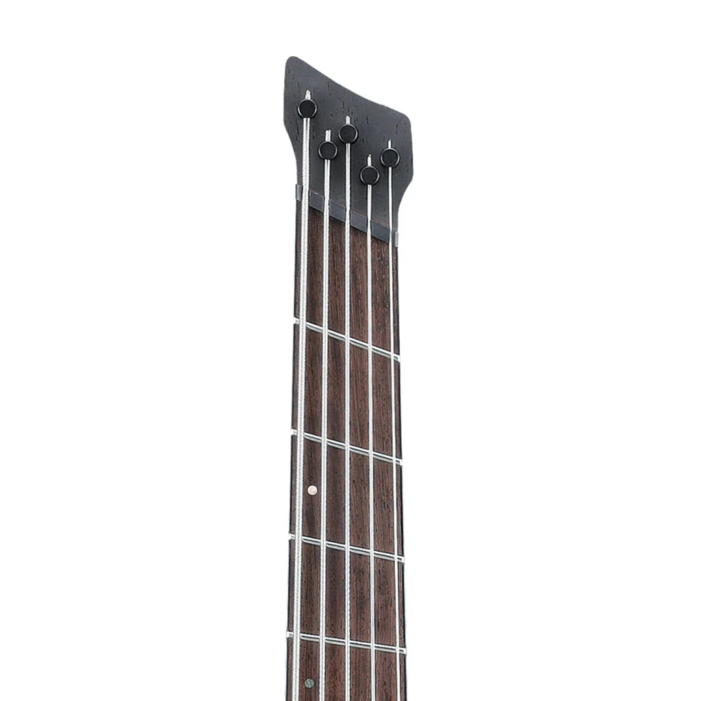 Đàn Guitar Bass Ibanez EHB1505MS - EHB Workshop HH, Panga Panga Fingerboard - 5 Strings - Việt Music