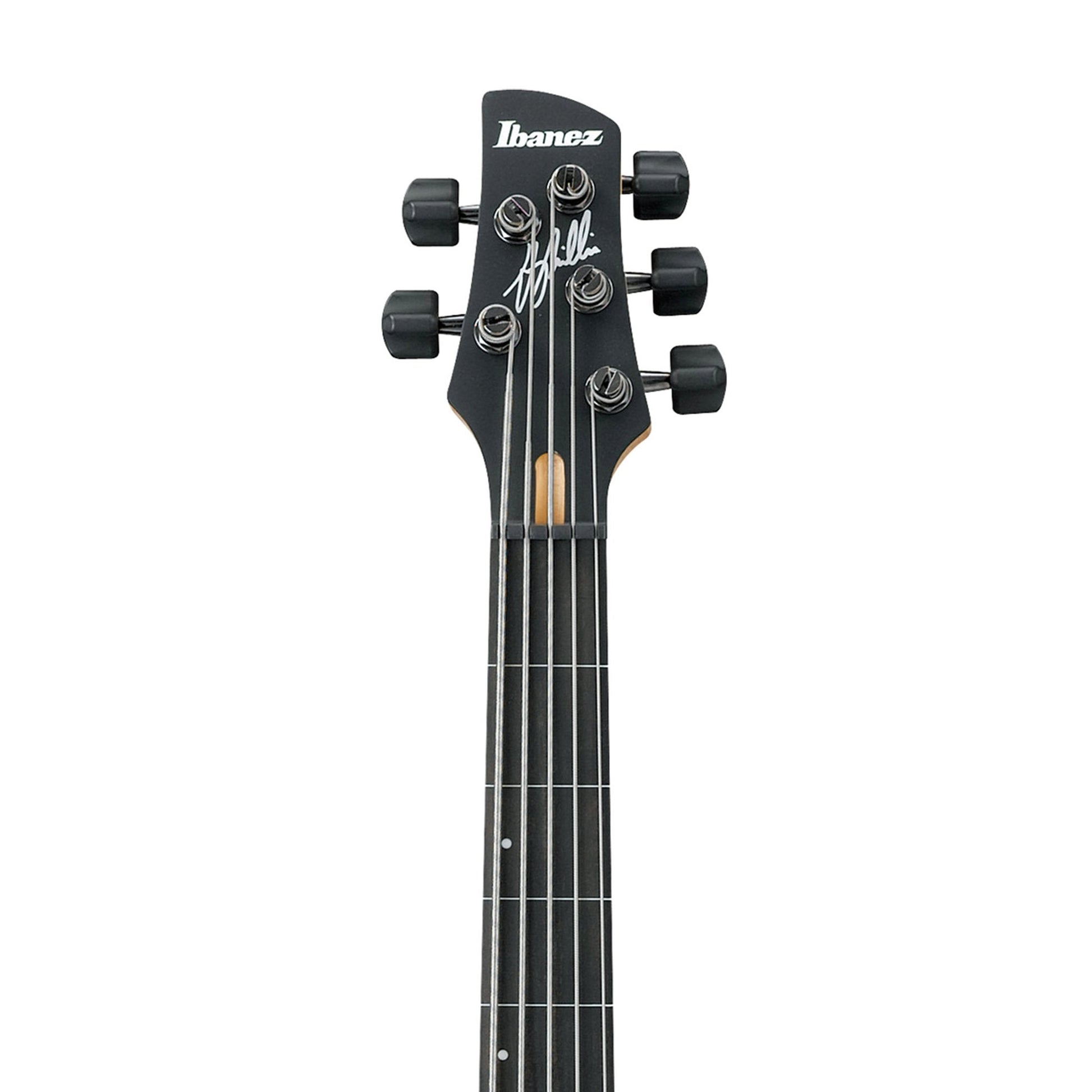 Đàn Guitar Bass Ibanez GWB205 - Gary Willis Signature - 5 Strings - Việt Music