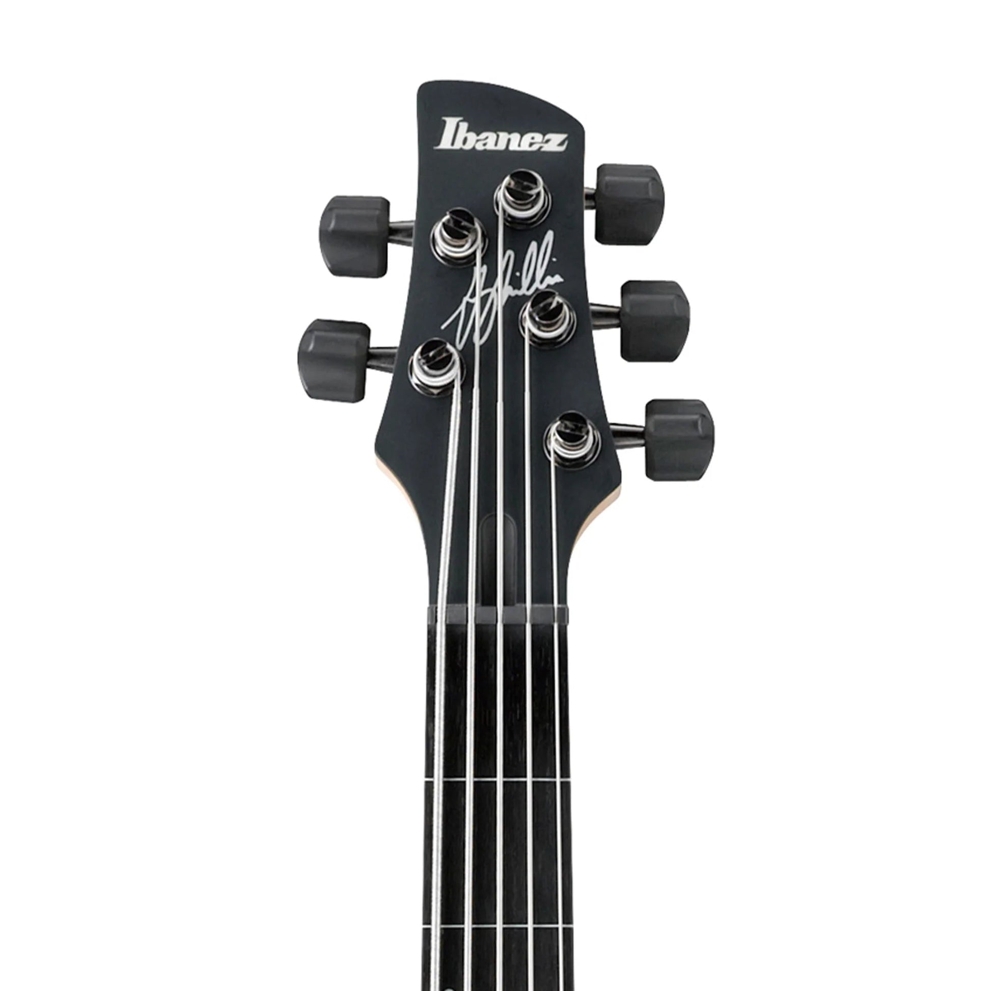 Đàn Guitar Bass Ibanez GWB35 - Gary Willis Signature S, Ebony Fingerboard, Black Flat - 5 Strings - Việt Music