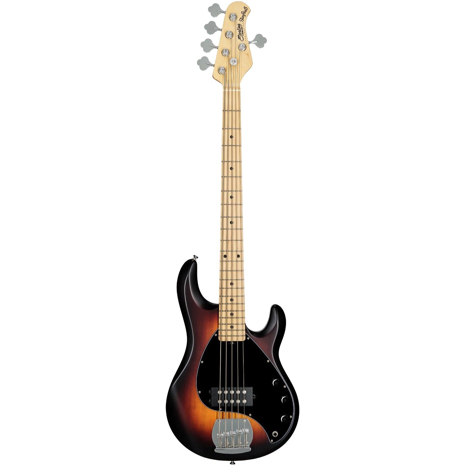 Đàn Guitar Bass Sterling By Music Man StingRay Ray5 - Việt Music