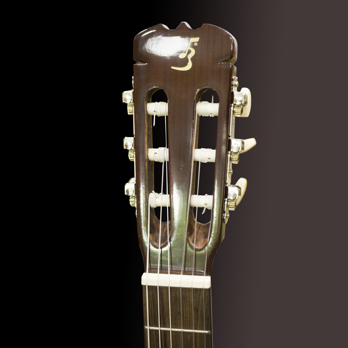 Đàn Guitar Ba Đờn C100J Classic - Việt Music