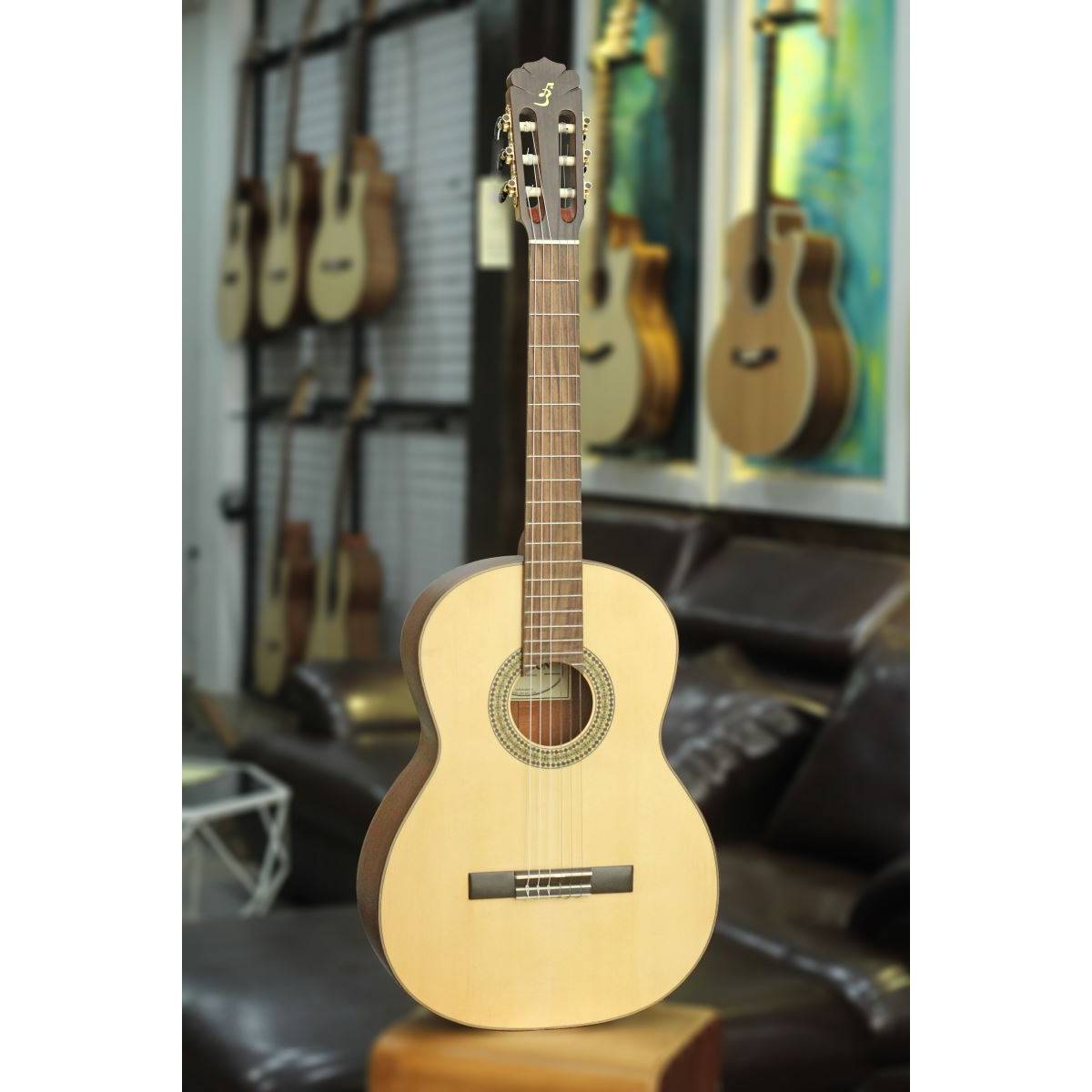 Đàn Guitar Ba Đờn C350 Thin Body Classic - Việt Music