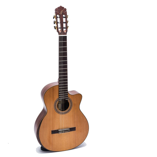 Đàn Guitar Ba Đờn C450J Classic - Việt Music