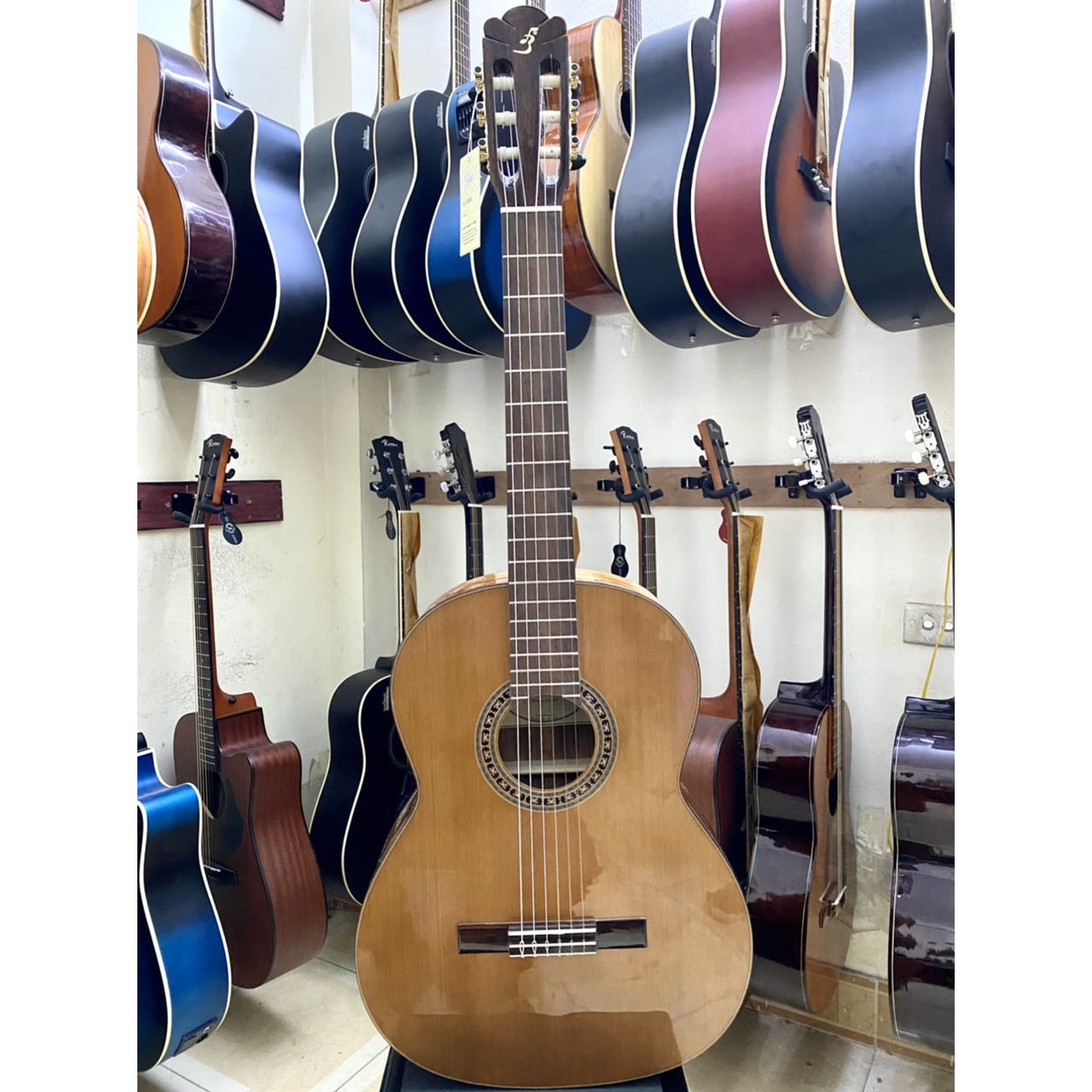 Đàn Guitar Ba Đờn C550D Classic Gỗ Điệp - Việt Music