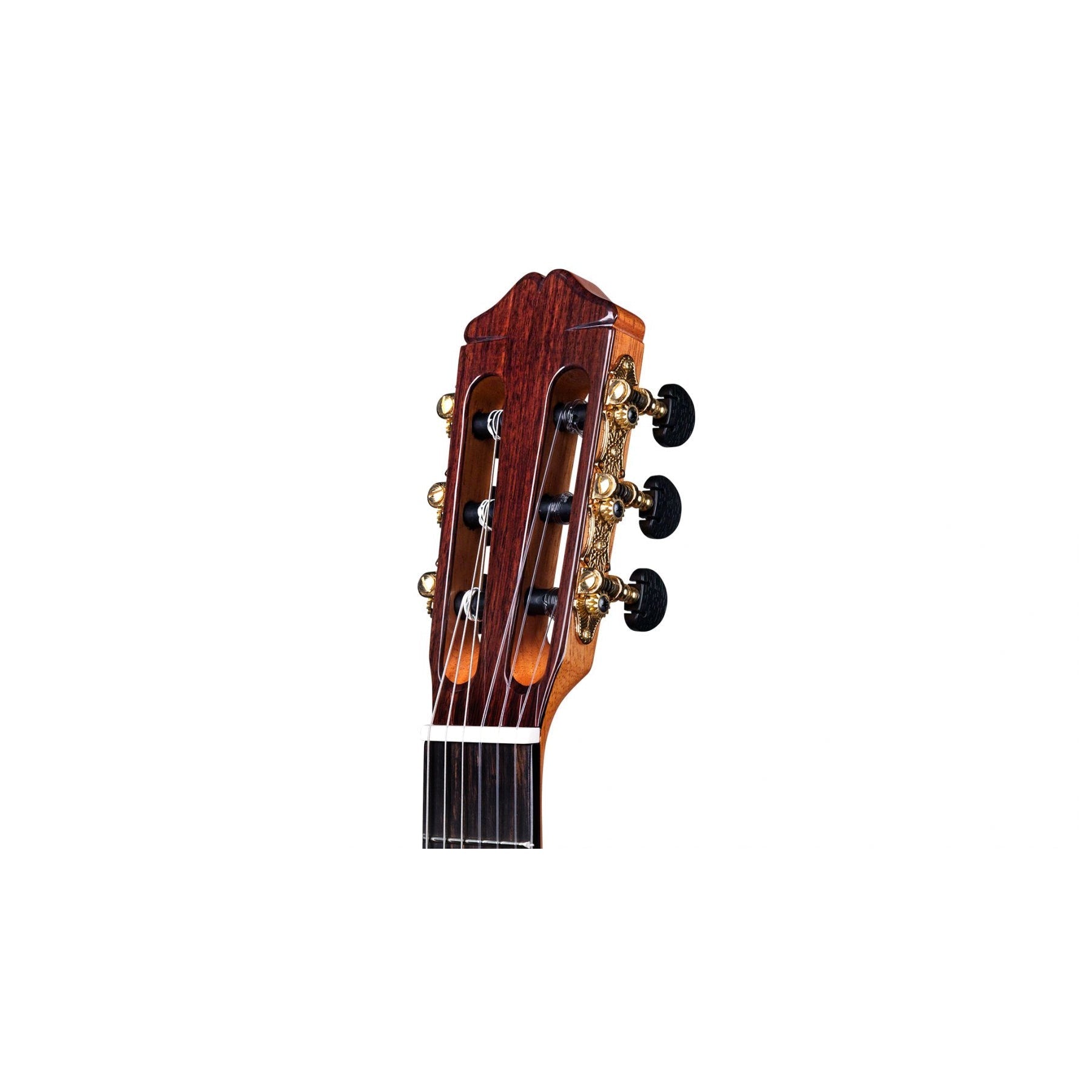 Đàn Guitar Classic Cordoba 45CO w/Humicase - Việt Music