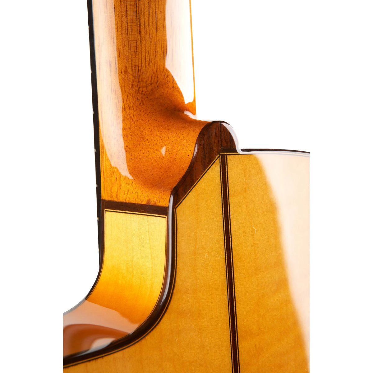 Đàn Guitar Classic Cordoba 55FCE - Honey Amber Thinbody w/Humicase - Việt Music