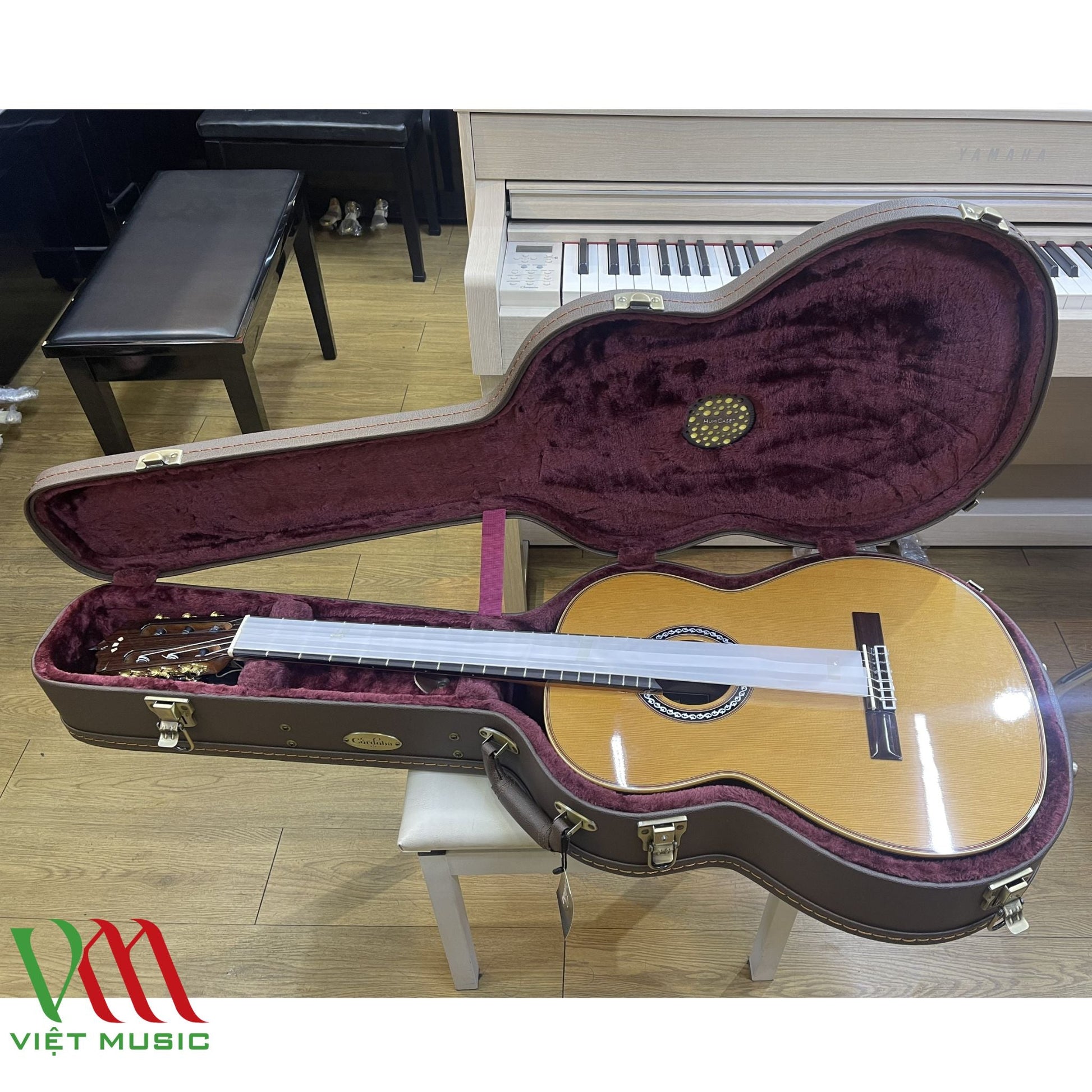 Đàn Guitar Classic Cordoba C12 CD Cedar - Việt Music