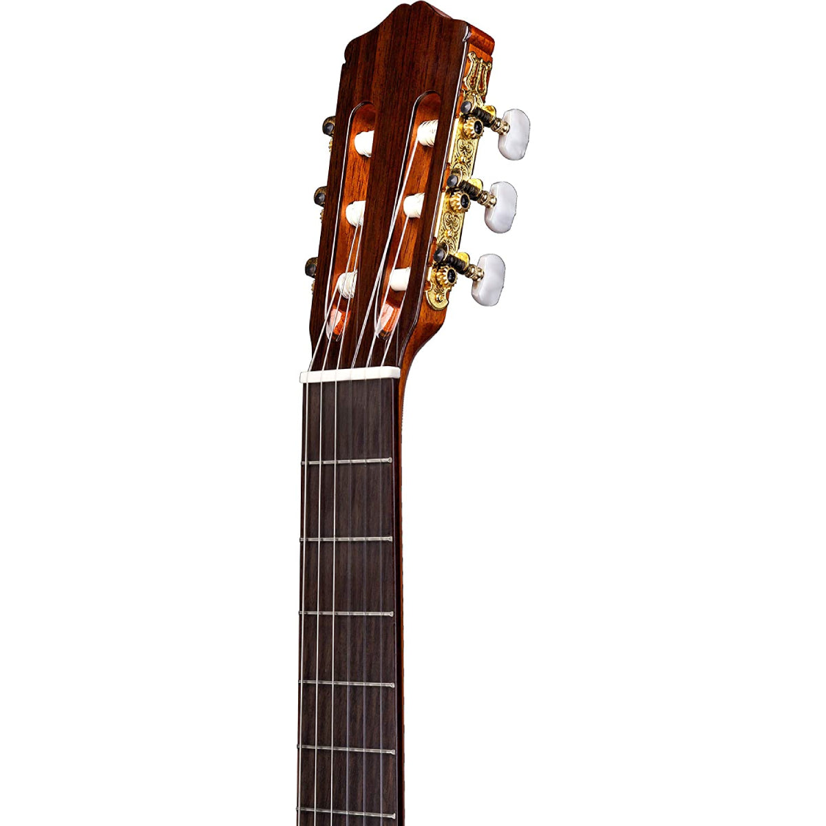 Đàn Guitar Classic Cordoba C5 Limited w/Deluxe Gig Bag - Việt Music