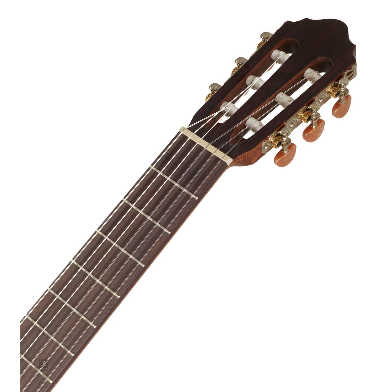 Đàn Guitar Classic Cort AC200 - Việt Music