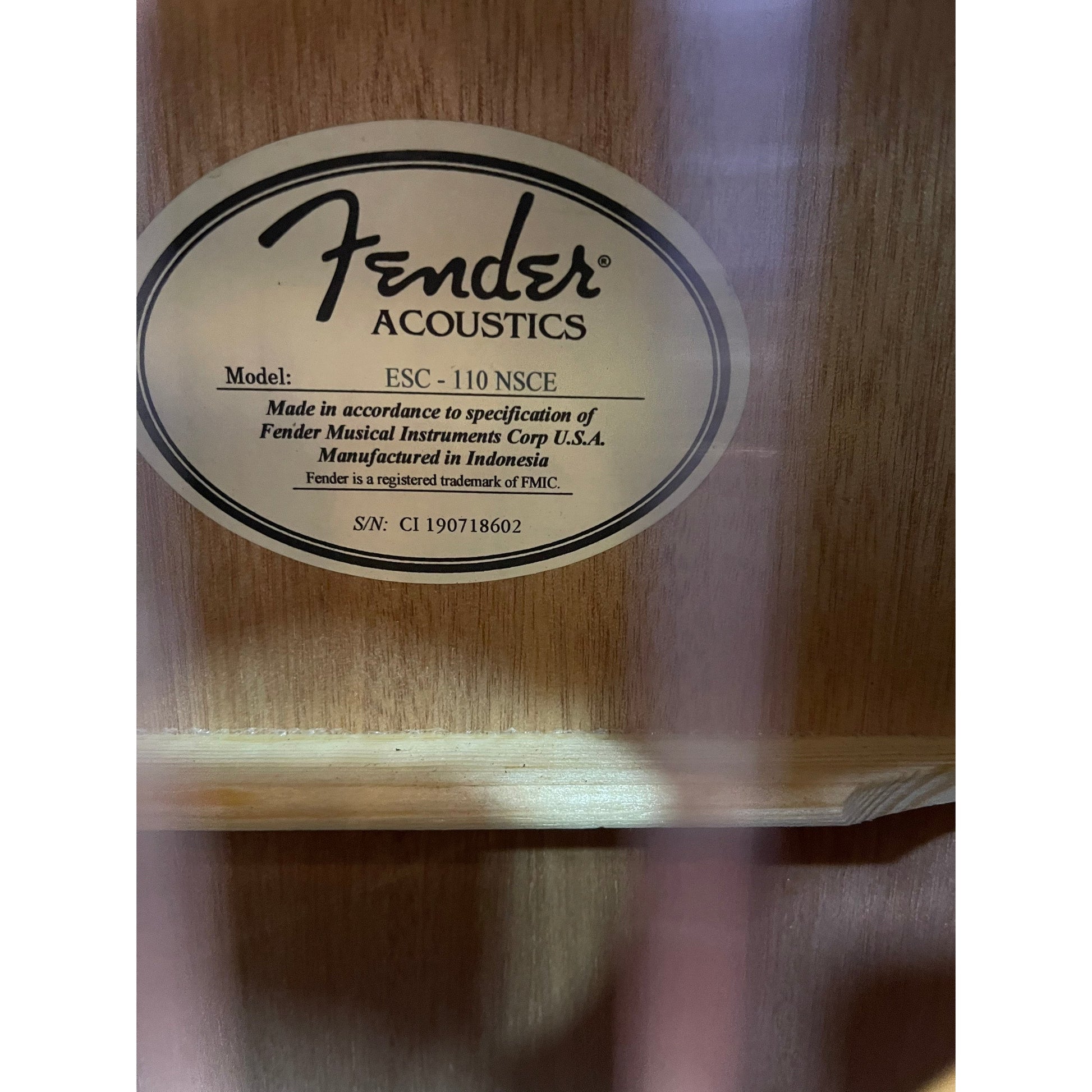 Đàn Guitar Classic Fender ESC-110 NSCE Natural - Việt Music