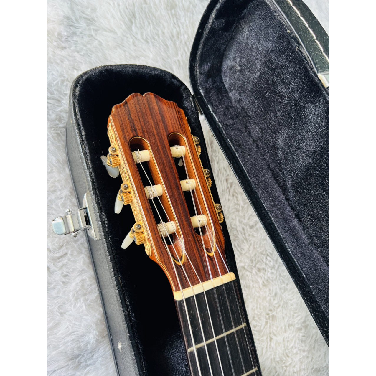 Đàn Guitar Classic Takamine DMP316 - Qua Sử Dụng - Việt Music