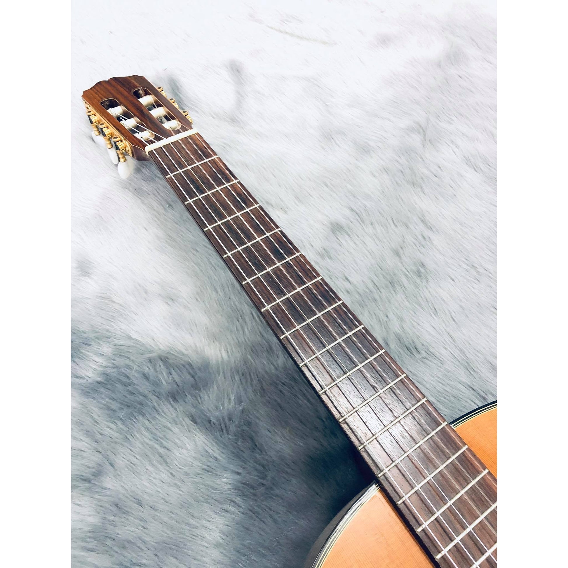 Đàn Guitar Classic Takamine No5 - Qua Sử Dụng - Việt Music