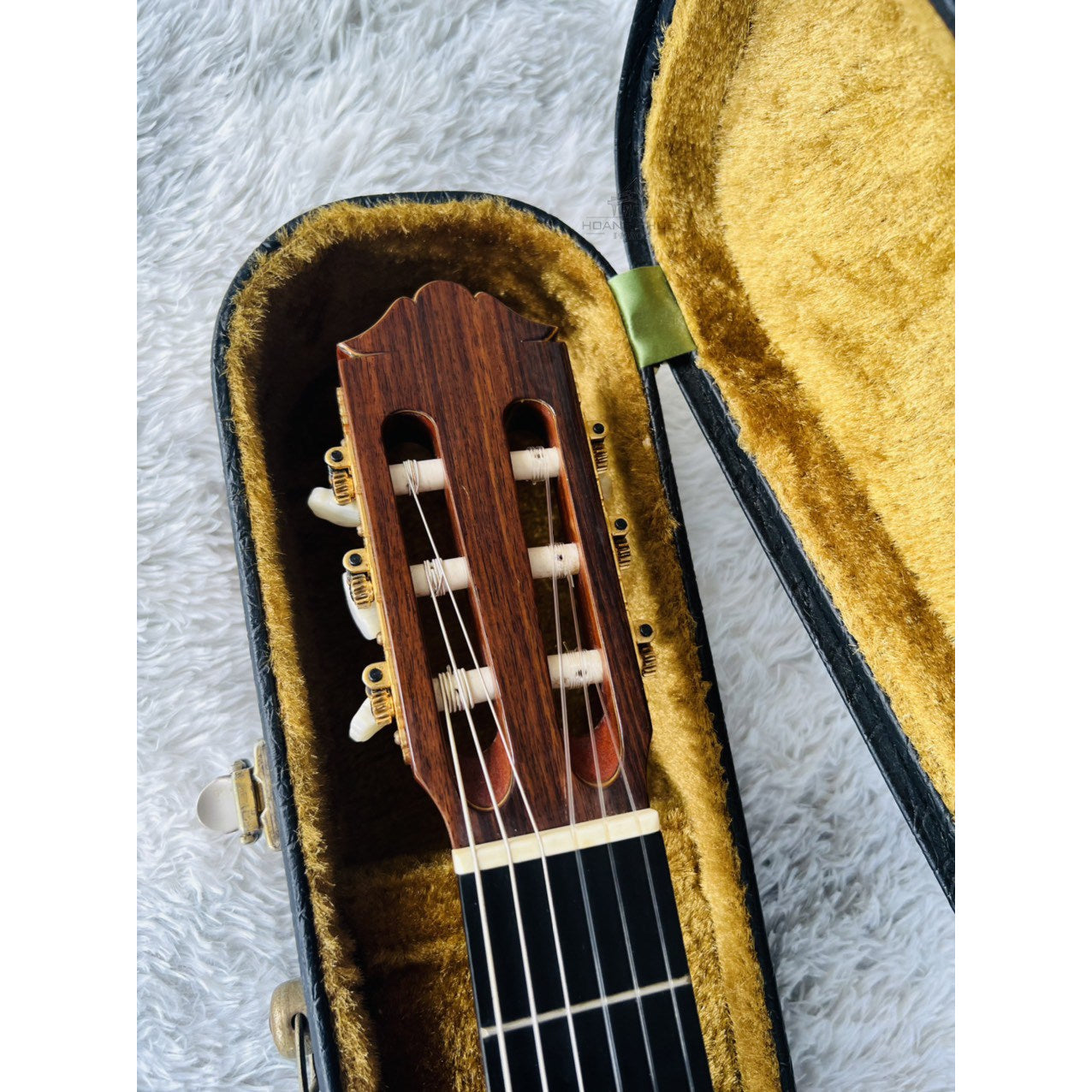 Đàn Guitar Classic Yamaha GC5 1981 - Qua Sử Dụng - Việt Music