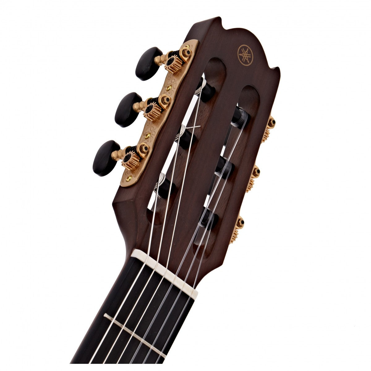 Đàn Guitar Classic Yamaha NTX5 - Việt Music