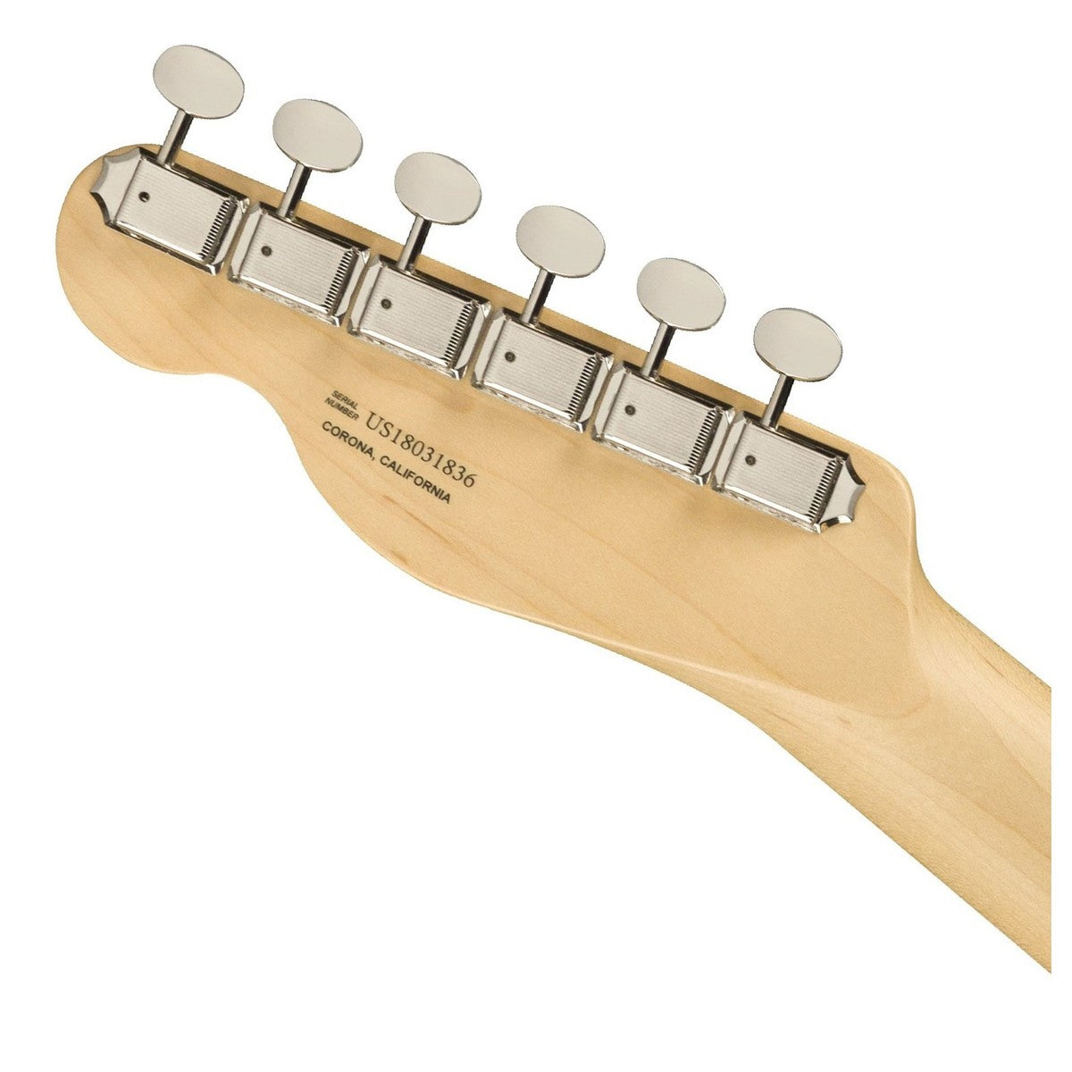 Fender American Performer Telecaster Hum, Maple Fingerboard - Việt Music