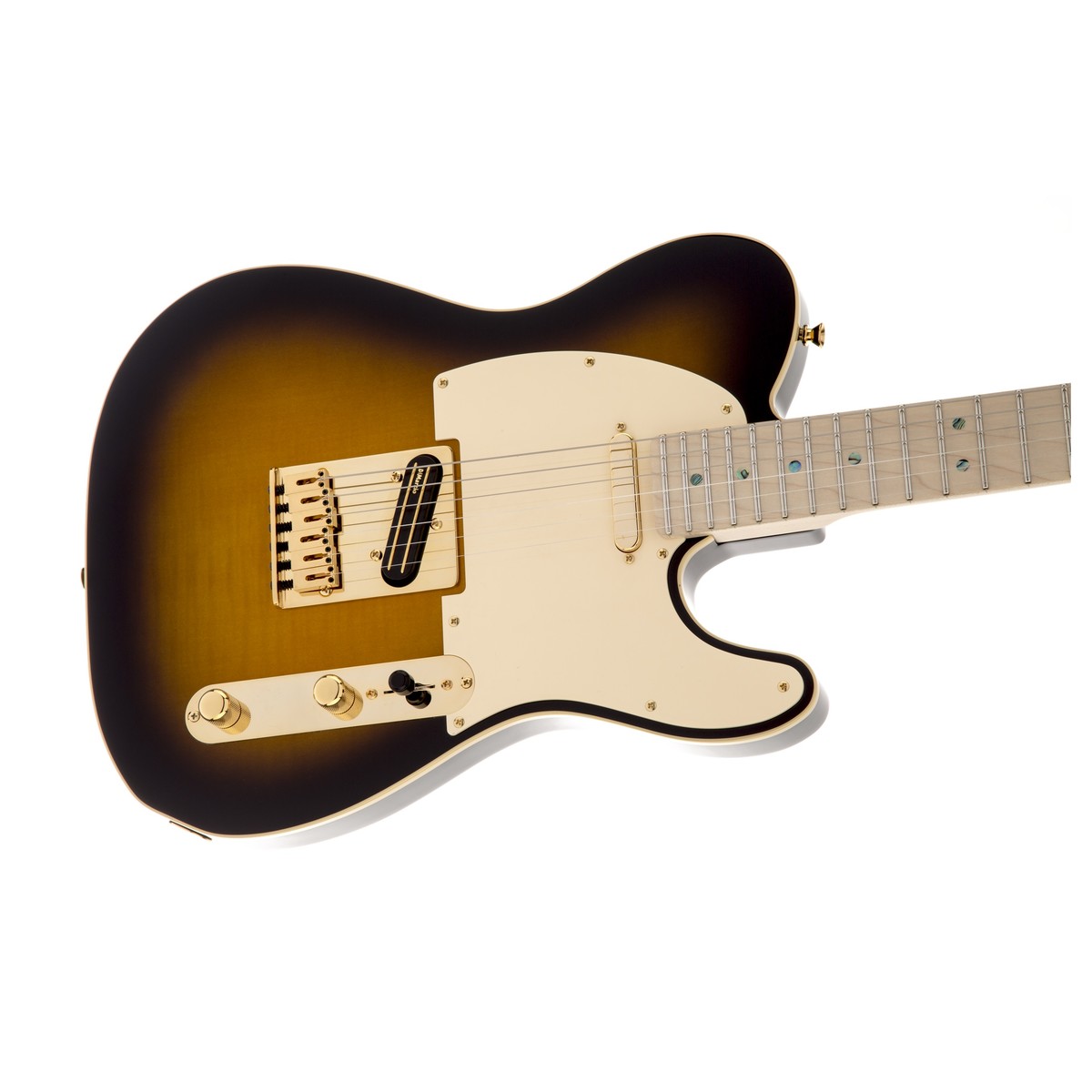 Fender Richie Kotzen Telecaster - Việt Music