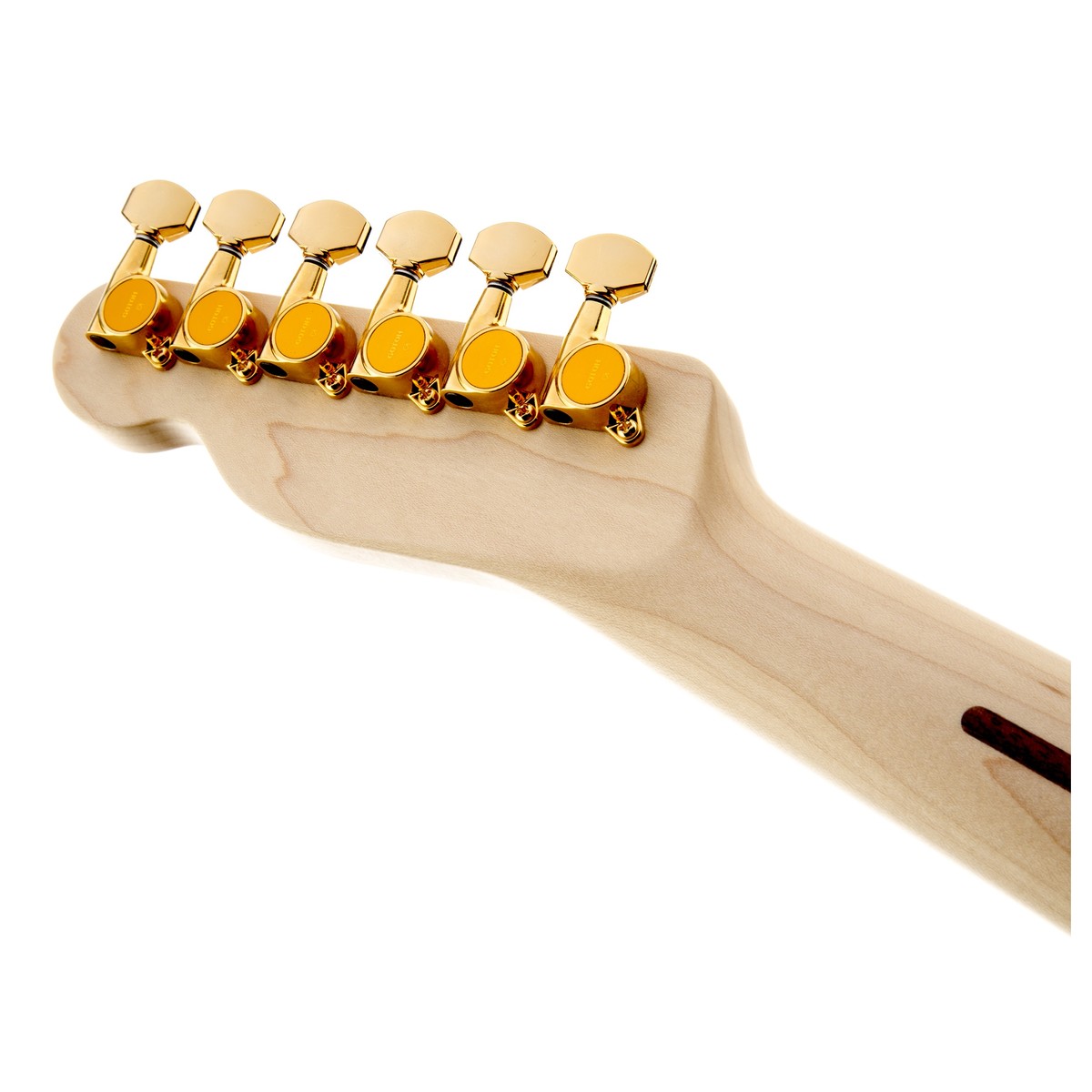 Fender Richie Kotzen Telecaster - Việt Music