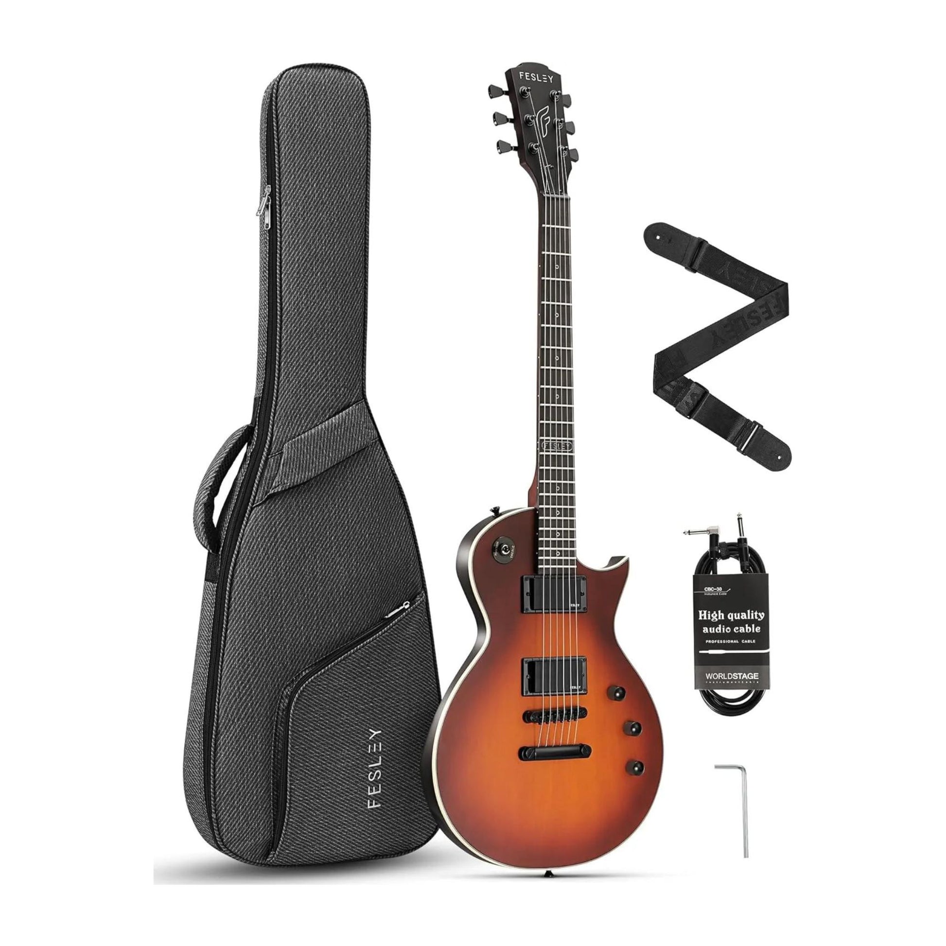 Đàn Guitar Điện Fesley FLP350 HH, Techwood Fingerboard - Việt Music