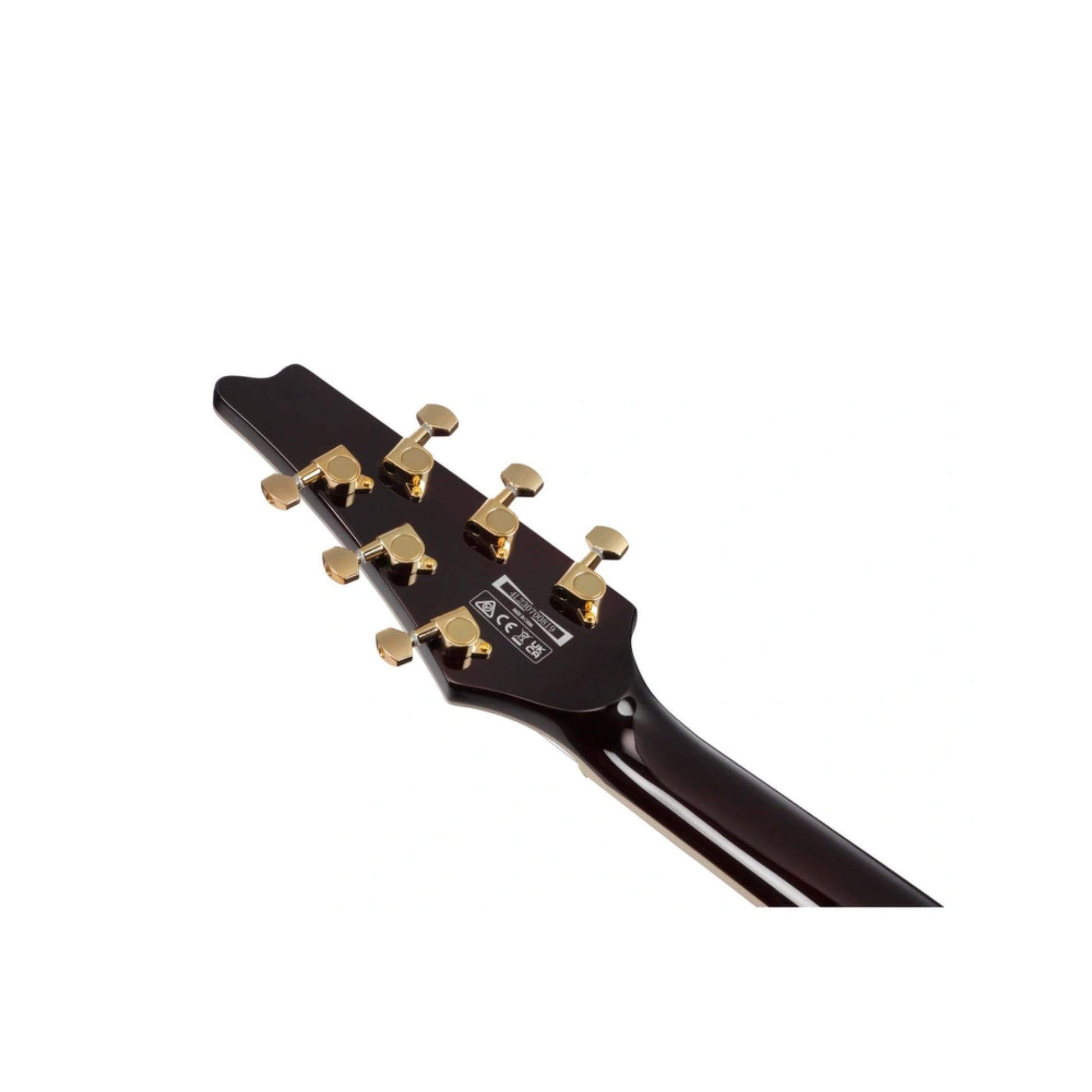 Đàn Guitar Điện Ibanez IC420 - Iceman Standard HH, Jatoba Fingerboard - Việt Music