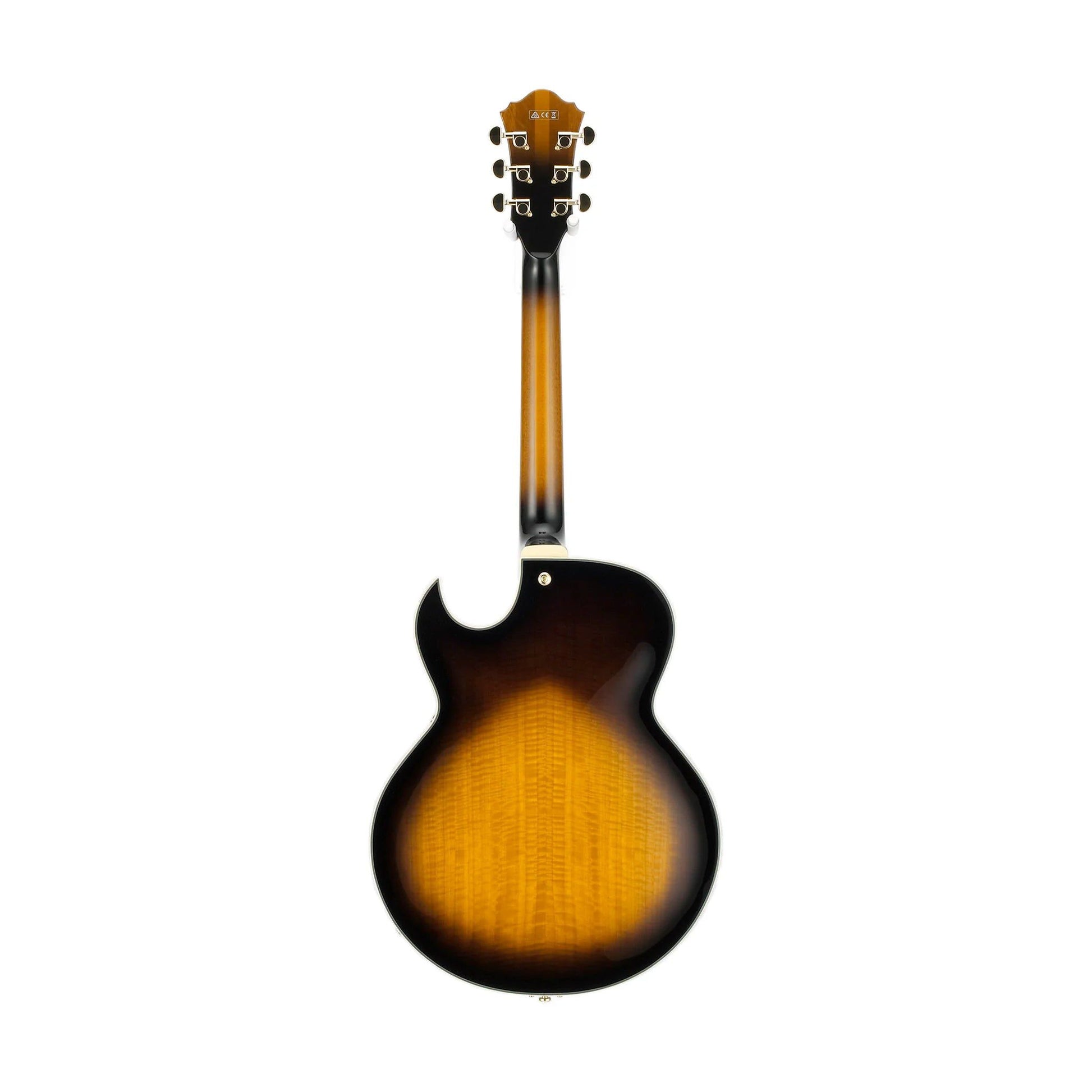 Đàn Guitar Điện Ibanez LGB30-Hollow Body George Benson Signature HH Bound Ebony Fingerboard - Việt Music