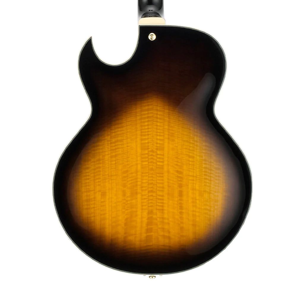 Đàn Guitar Điện Ibanez LGB30-Hollow Body George Benson Signature HH Bound Ebony Fingerboard - Việt Music