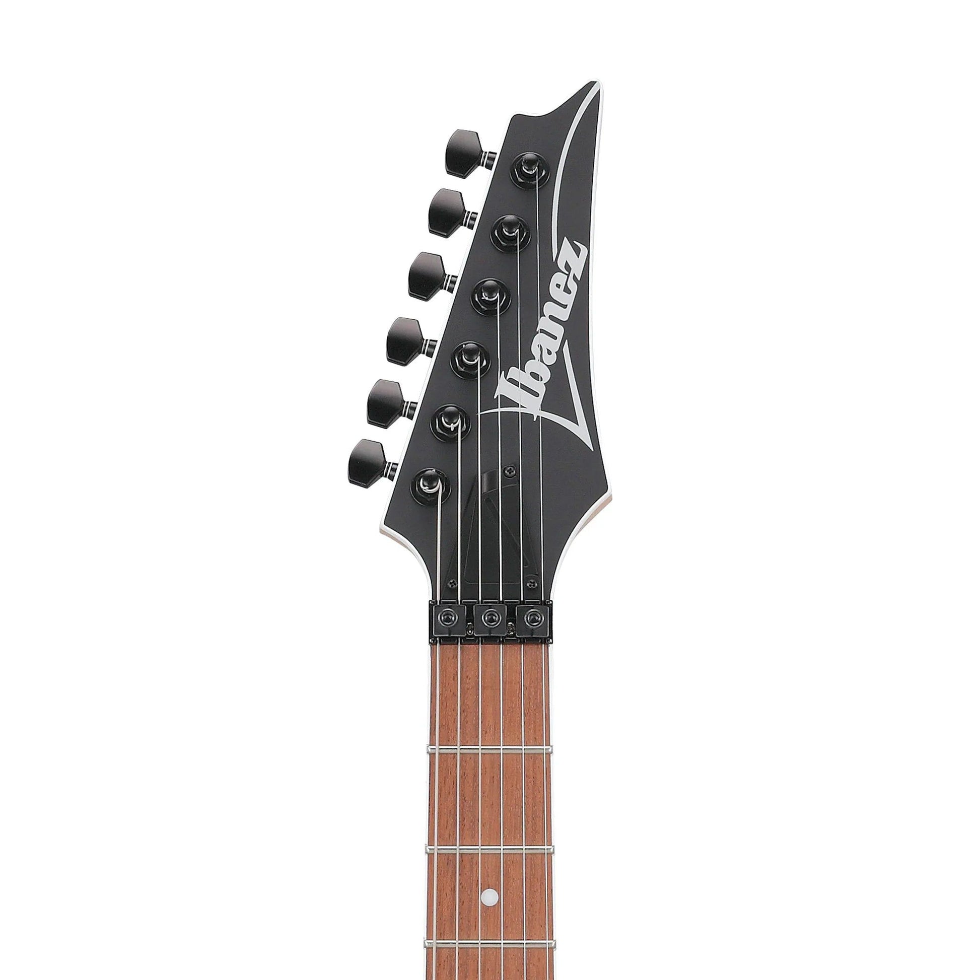 Đàn Guitar Điện Ibanez RG420EX - RG Standard HH, Jatoba Fingerboard, Black Flat - Việt Music