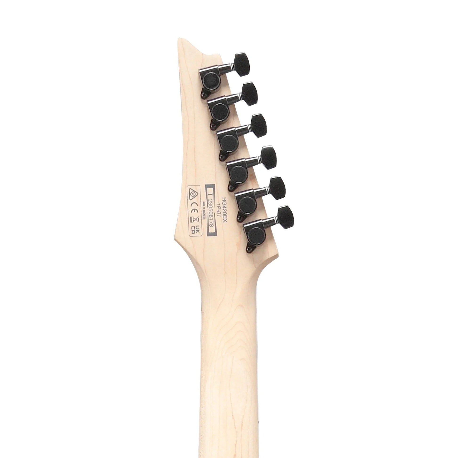 Đàn Guitar Điện Ibanez RG420EX - RG Standard HH, Jatoba Fingerboard, Black Flat - Việt Music