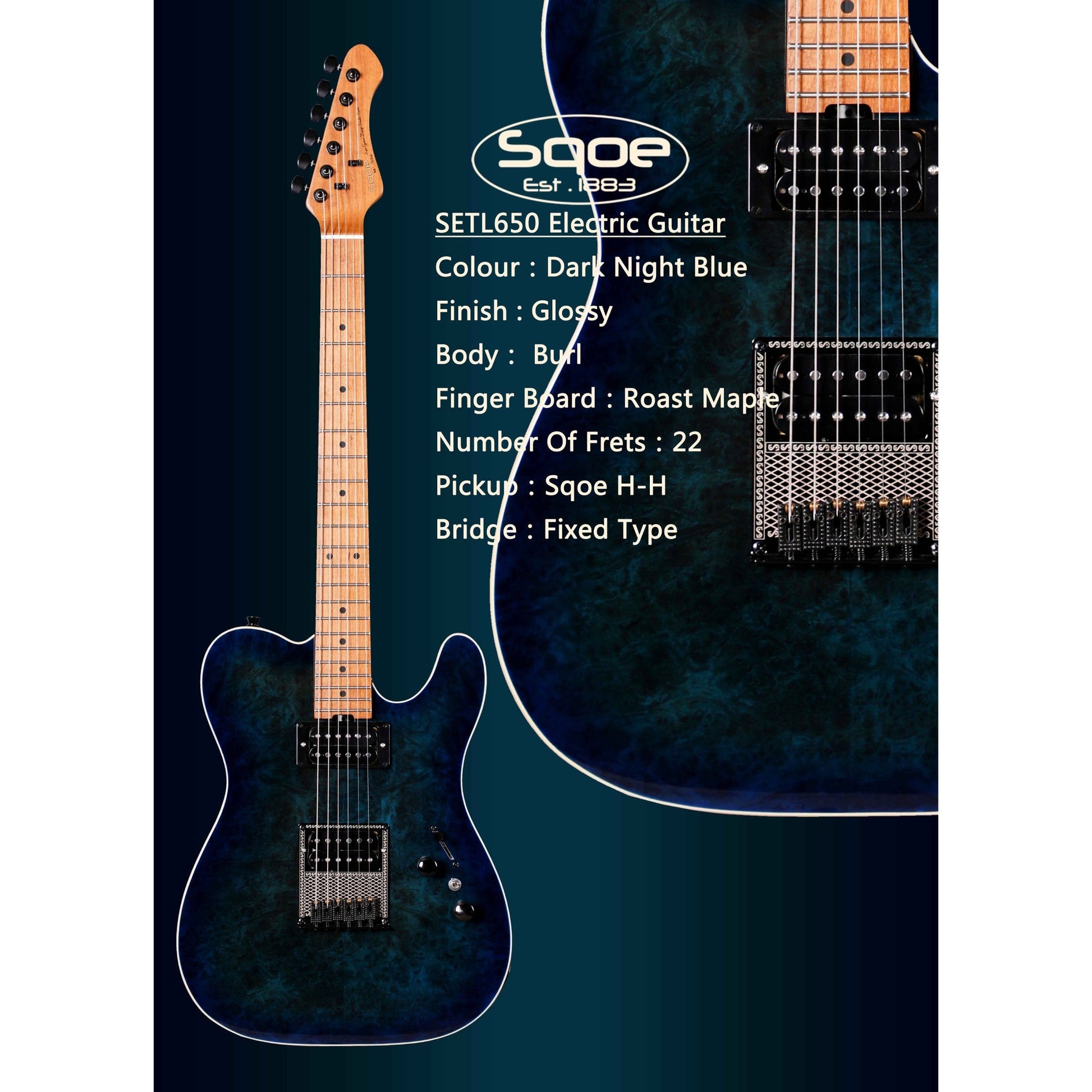 Đàn Guitar Điện Sqoe SETL650 - Việt Music