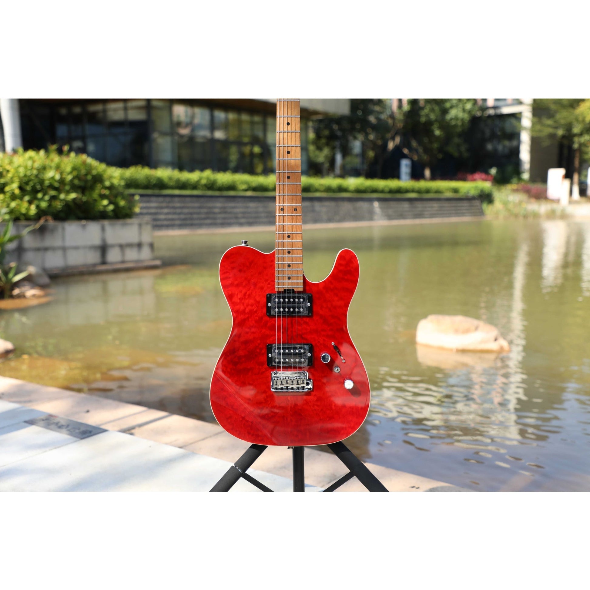 Đàn Guitar Điện Sqoe SETL900 - Việt Music