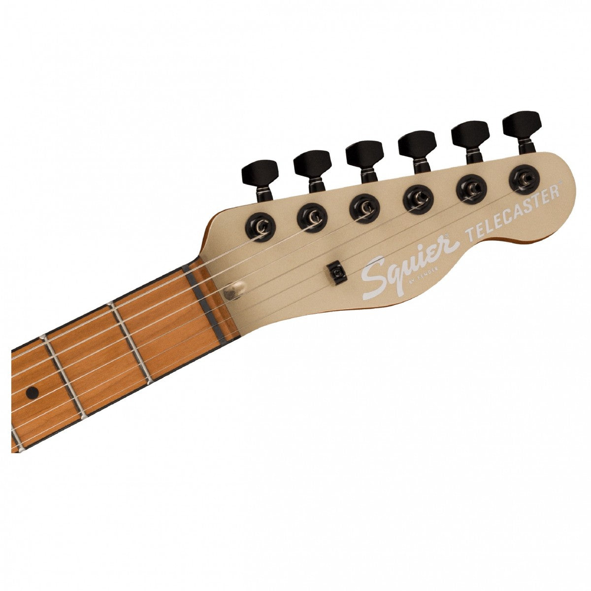 Squier Contemporary Telecaster RH, Maple Fingerboard - Việt Music