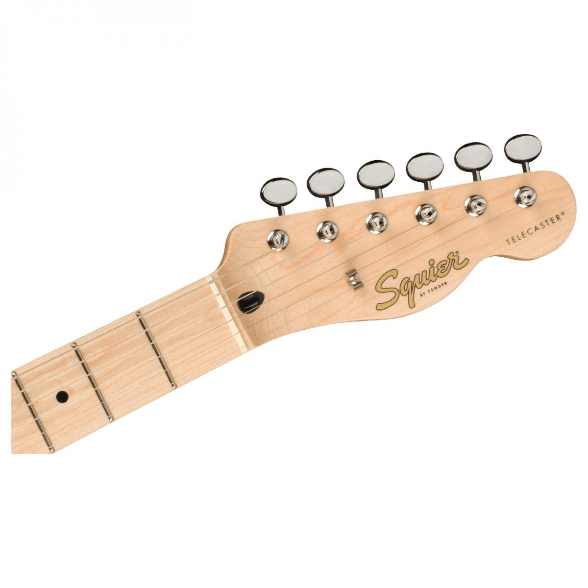 Squier Paranormal Cabronita Telecaster Thinline, Maple Fingerboard - Việt Music