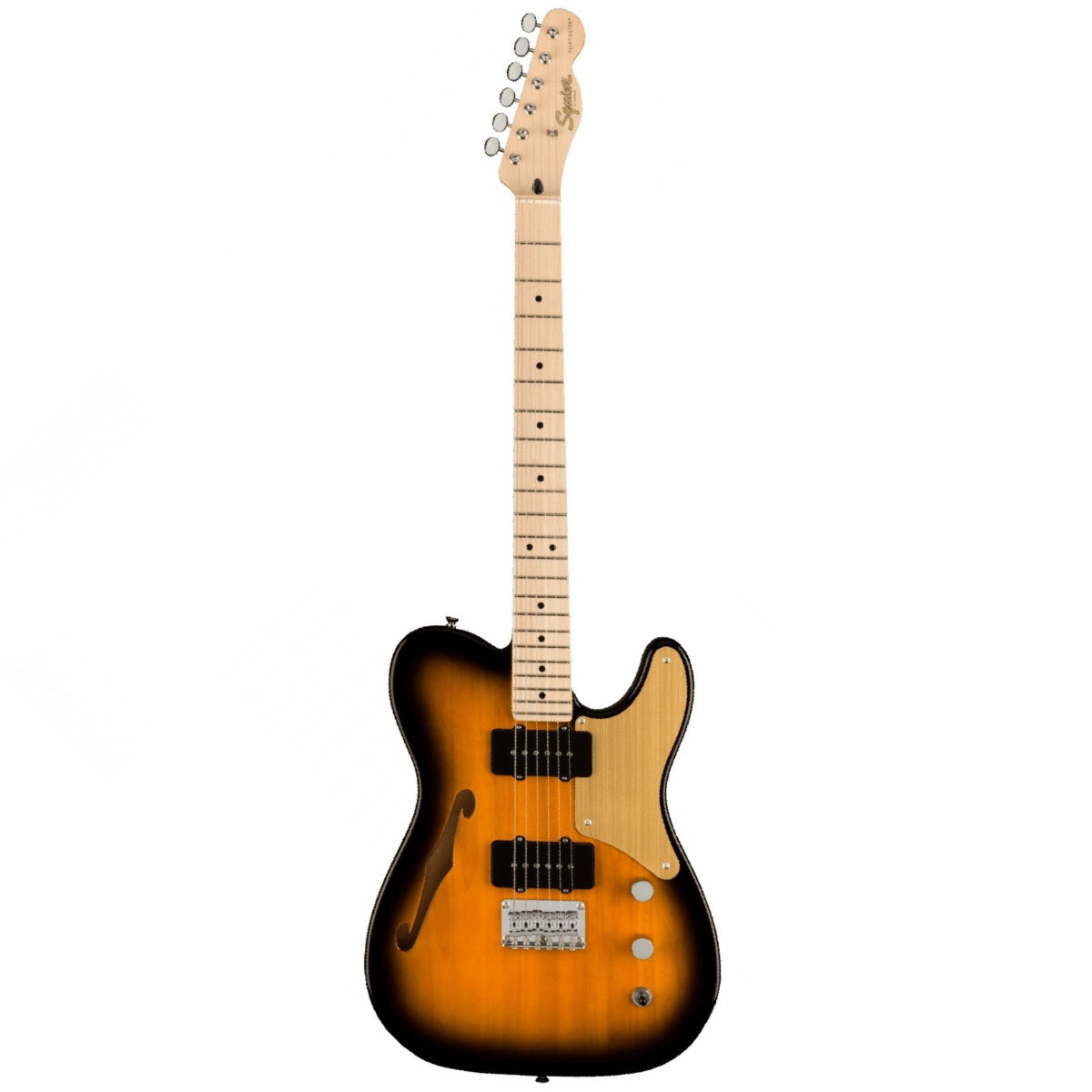 Squier Paranormal Cabronita Telecaster Thinline, Maple Fingerboard - Việt Music