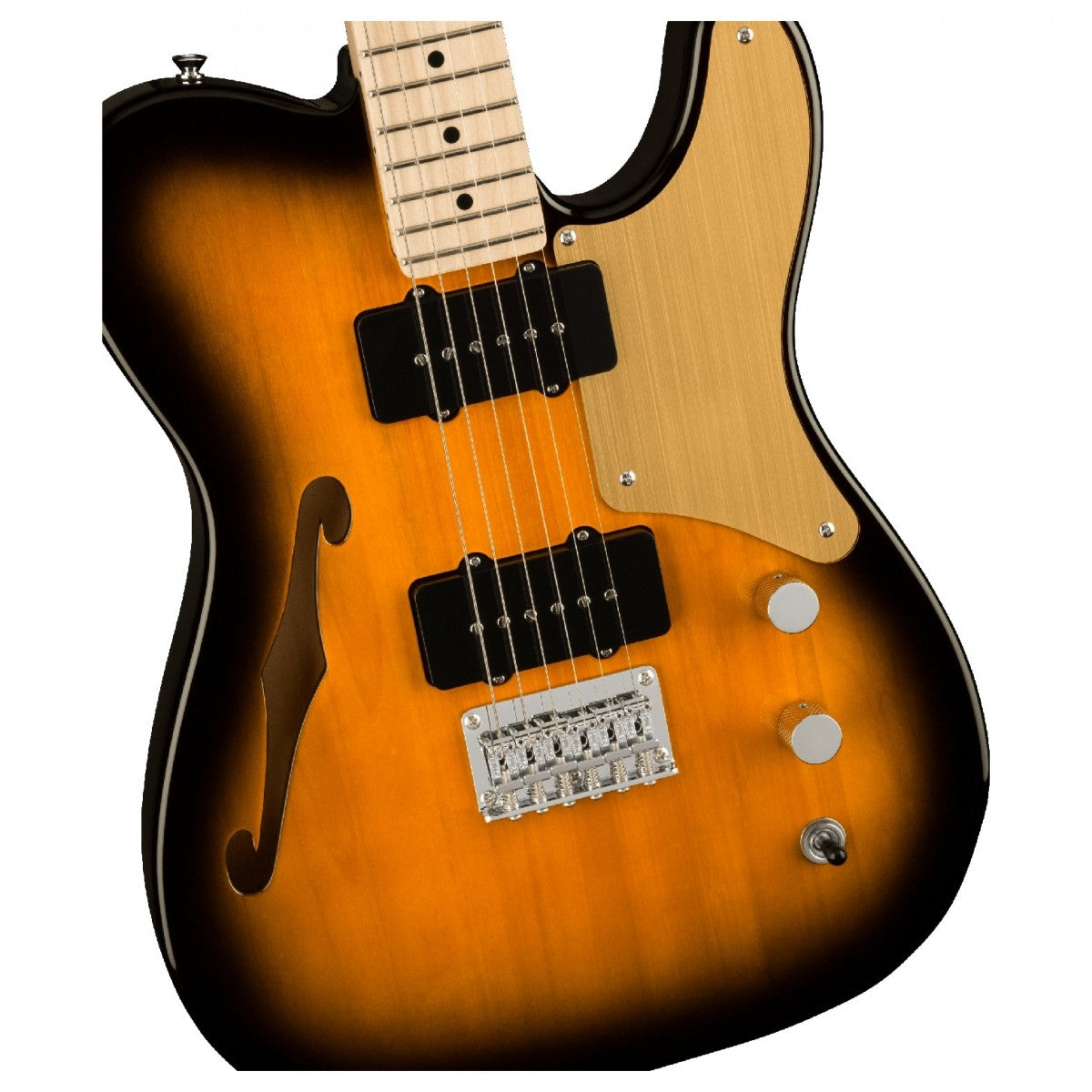 Squier Paranormal Cabronita Telecaster Thinline, Maple Fingerboard - Việt Music