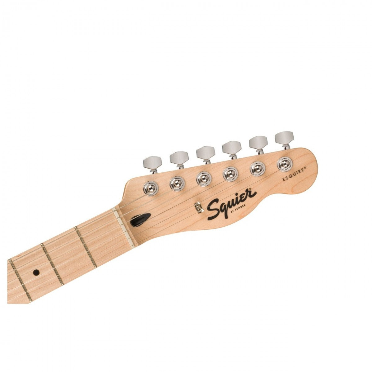 Squier Sonic Series Esquire H Maple Fingerboard, Arctic White - Việt Music