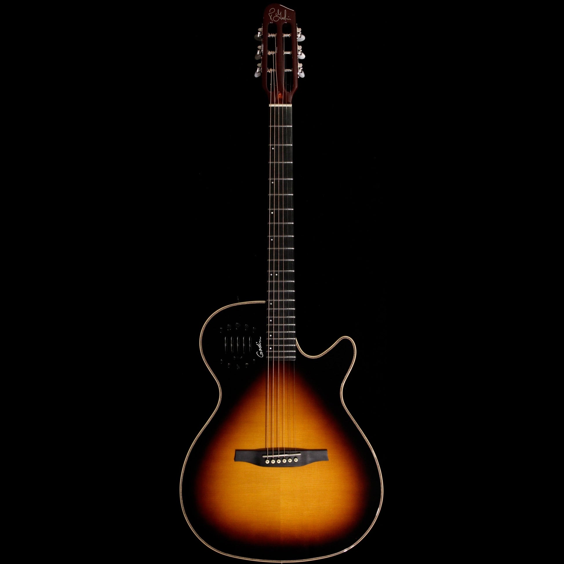 Đàn Guitar Điện Godin Multiac Steel Duet Ambiance - Việt Music