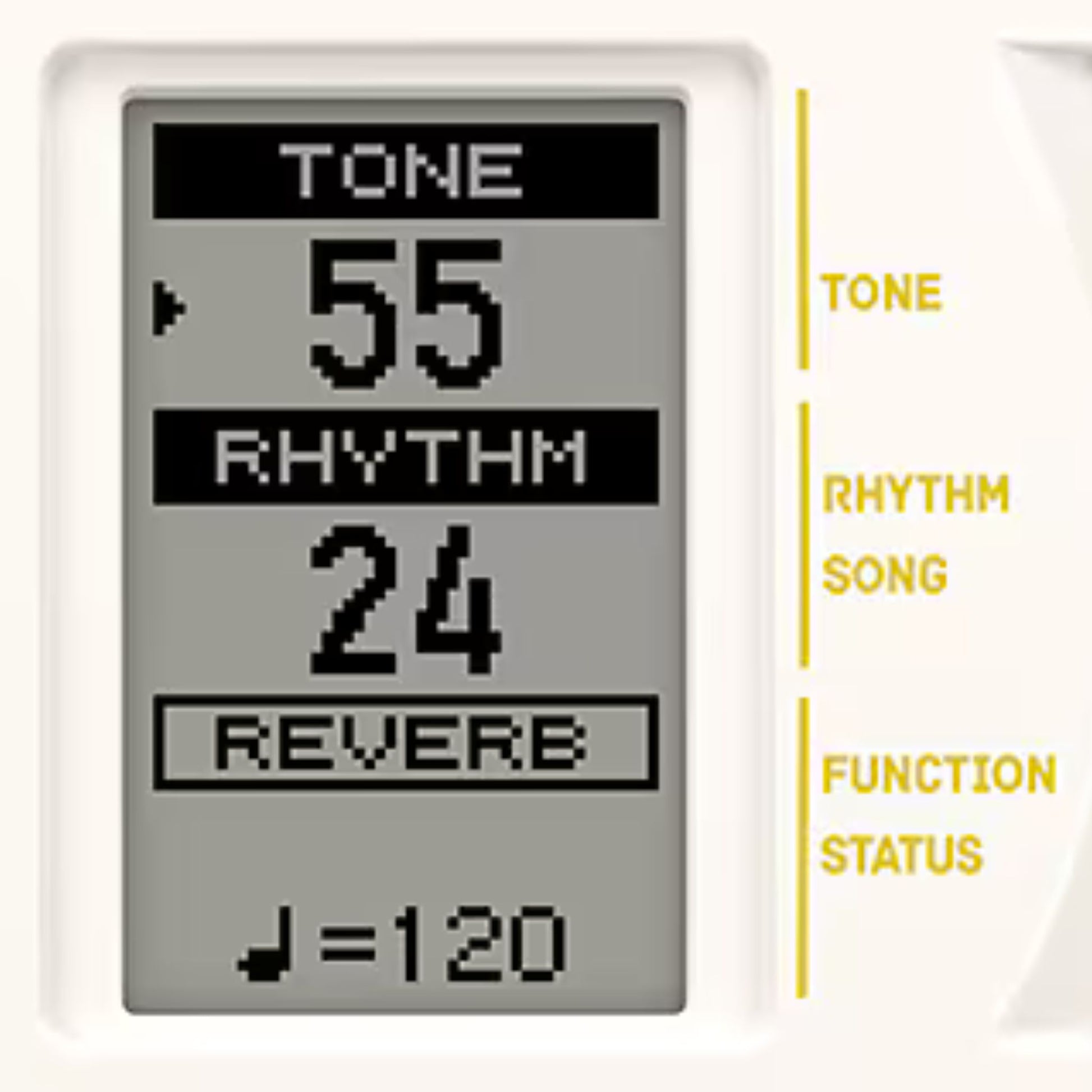 Đàn Organ Casio SA-80 - Việt Music