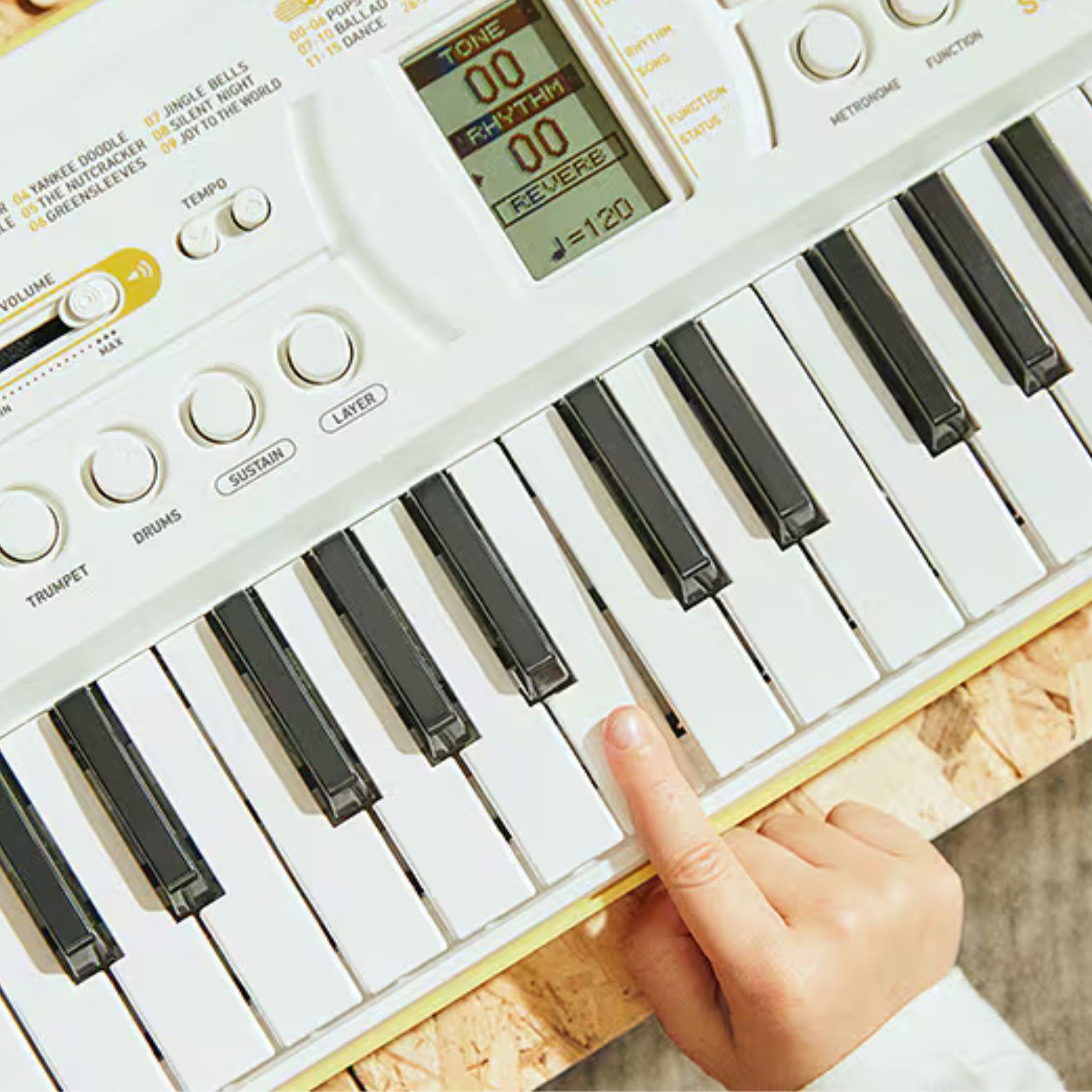 Đàn Organ Casio SA-80 - Việt Music