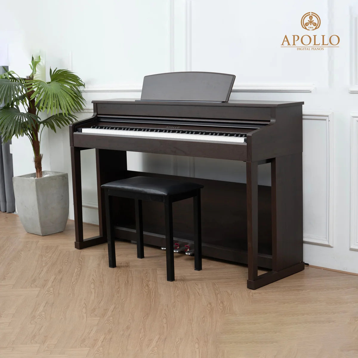 Đàn Piano Điện Apollo DP-260 - Việt Music