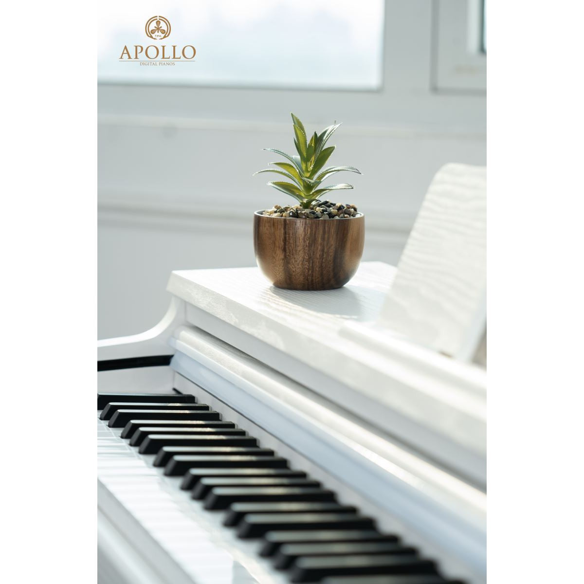 Đàn Piano Điện Apollo DP-66 - Việt Music