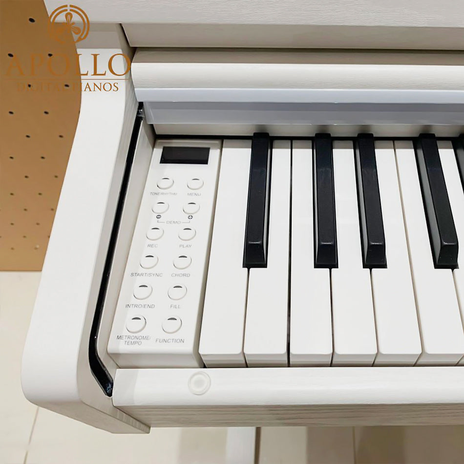 Đàn Piano Điện Apollo DP-66 - Việt Music